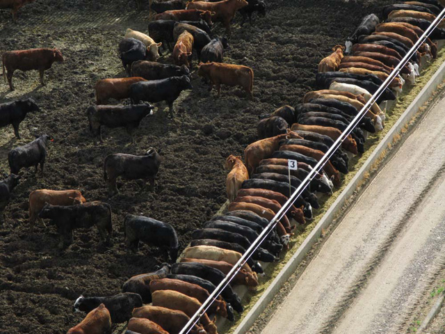 A number of environmental groups want to force confined animal feeding operations to report their emissions to EPA. (DTN/The Progressive Farmer file photo)